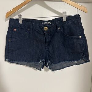 Hudson's Denim Blue Women's Shorts